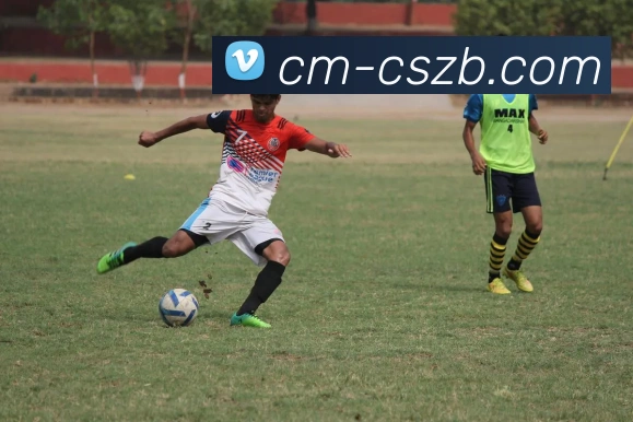 彩神争霸平台生态图